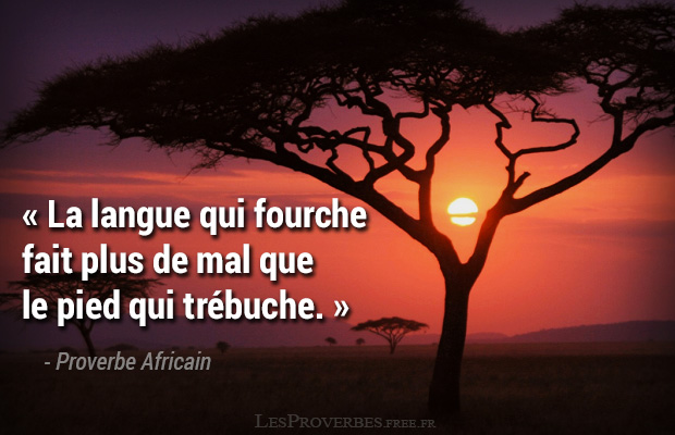 Proverbe Africain - La langue qui fourche.jpg